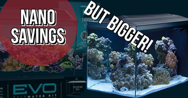 Flash Sale! NANO Savings ..but bigger !