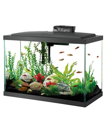 Aqueon LED Aquarium Kit - 20 gal - High