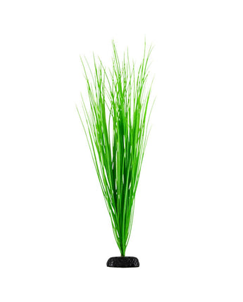 Underwater Treasures Green Hairgrass - 24"