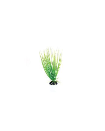 Underwater Treasures Green Hairgrass - 8"