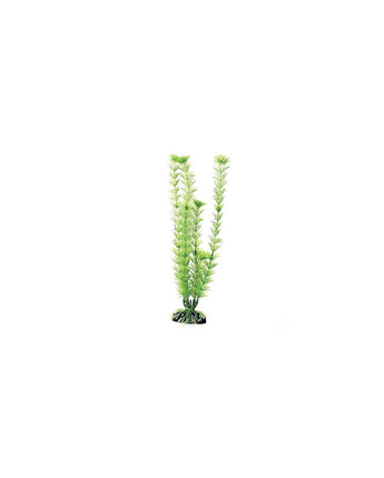 Underwater Treasures Green Cabomba - 12"