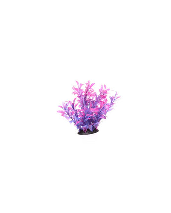 Underwater Treasures Magenta Ludwigia - 6.5"