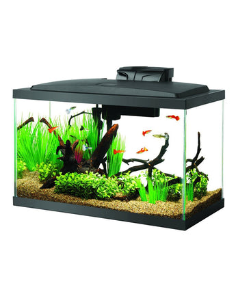 Aqueon LED Aquarium Kit - 10 gal