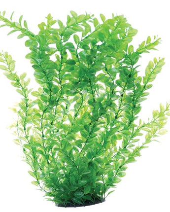 Underwater Treasures Green Cardamine - 24"