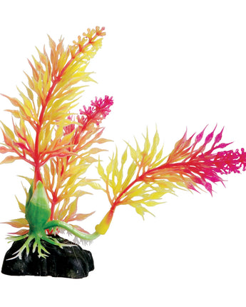 Underwater Treasures Pink Egeria - 4.5"