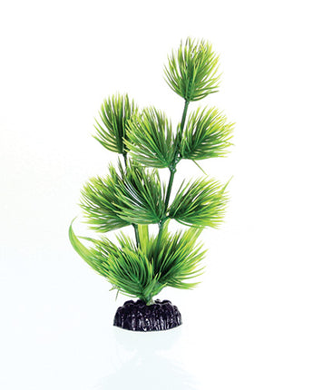 Underwater Treasures Green Conifer - 8"