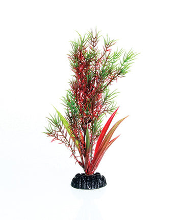 Underwater Treasures Red/Green Springeri - 8"