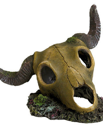 Underwater Treasures Ram Skull