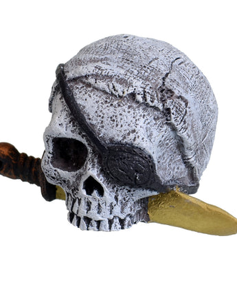 Underwater Treasures Pirate Skull