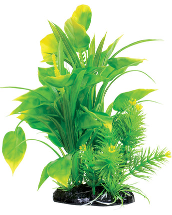 Underwater Treasures Spade Fern - 8.5"