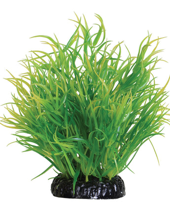 Underwater Treasures Lemon Grass - 6"