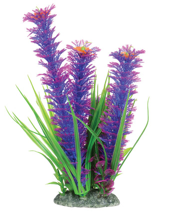 Underwater Treasures Ambulia - Violet - 12"