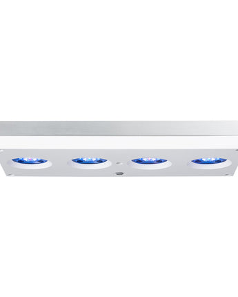 AquaIllumination Hydra 64HD Lighting System - White