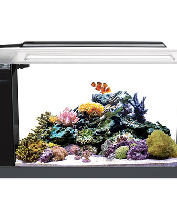 Fluval EVO Saltwater Aquariums