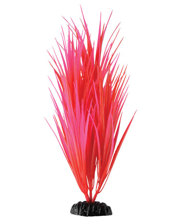 Underwater Treasures Rose Nile Grass - 11.5"