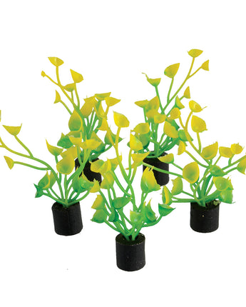 Underwater Treasures Mini Plant - Yellow and Green - 2" - 5 pk