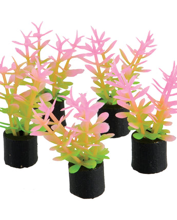 Underwater Treasures Mini Plant - Pink and Green - 1.5" - 5 pk