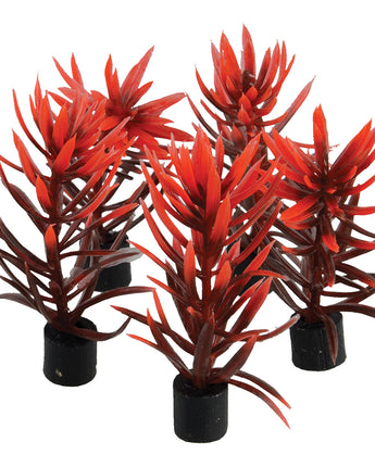 Underwater Treasures Mini Plant - Red and Brown - 3" - 5 pk