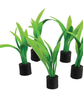 Underwater Treasures Mini Plant Sword - Large - 2.75" - 5 pk