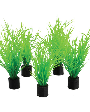 Underwater Treasures Mini Plant - Bog Grass - 3" - 5 pk