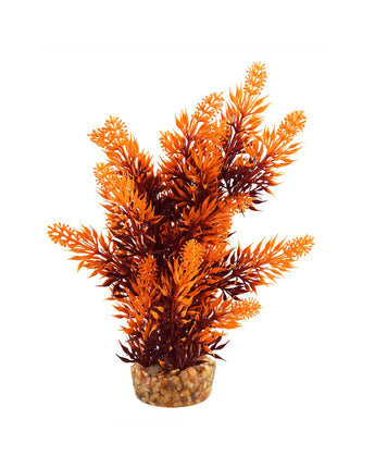 Underwater Treasures Hygro Tree  - 8