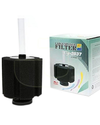 Large sponge Filter-2837